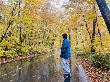 奥入瀬　紅葉 奥入瀬渓流,男性,奥入瀬の写真素材