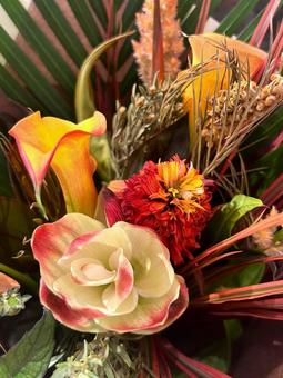 Photo, protea, আদা, ফুল, 