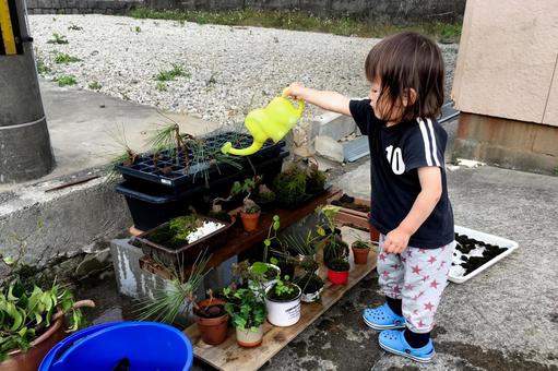 <素材>お庭の盆栽に水をあげる男の子 <素材>お庭の盆栽に水をあげる男の子 子供,男性,人物の写真素材
