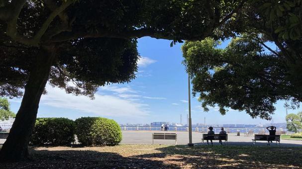 公園の木陰 公園の木陰 公園,ベンチ,木陰の写真素材