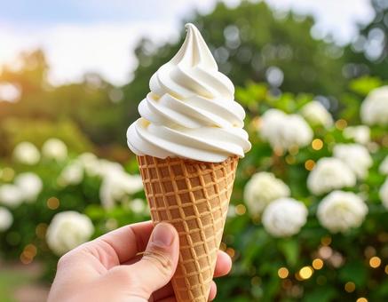 ソフトクリーム ソフトクリームの写真