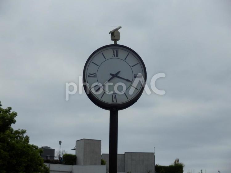 不気味な雰囲気の時計塔 時計,時計塔,時計台の写真素材