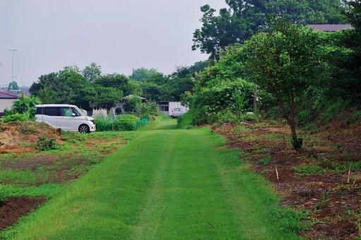 緑の田舎道 緑の田舎道 田舎道,緑,雑草の写真素材