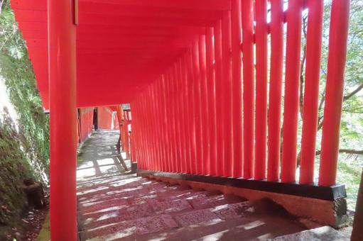 【島根県】太鼓谷稲荷神社 【島根県】太鼓谷稲荷神社 神社,稲荷神社,津和野の写真素材
