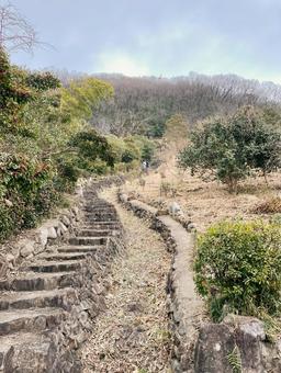 香川県三木町白山の登山道 香川県三木町白山の登山道の写真