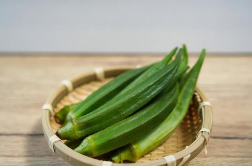 採れたての夏野菜のオクラ 採れたての夏野菜のオクラの写真