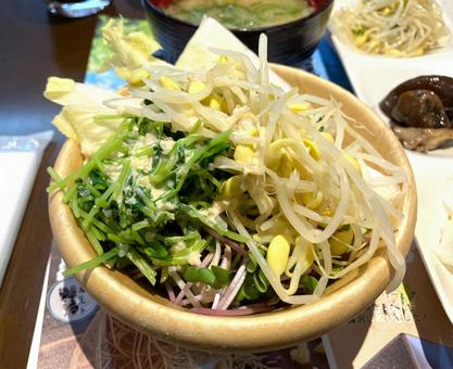 スプラウトサラダ 蒸し野菜,ヘルシー,ゆでた野菜の写真素材