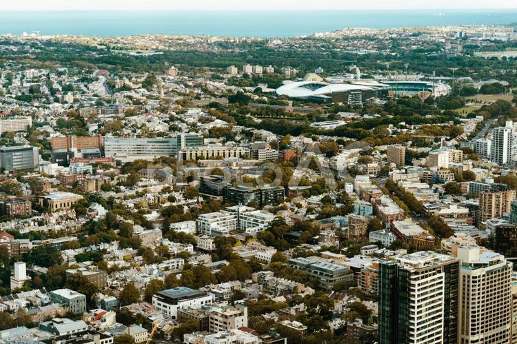 広がる市街と海 市街,海,建物の写真素材