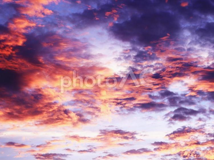 夕焼けに染まる雲 雲,空,風景の写真素材