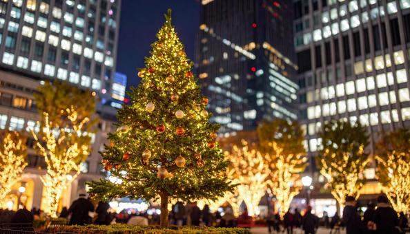 都会のクリスマスツリーとイルミネーション 都会のクリスマスツリーとイルミネーションの写真