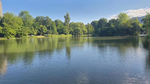 中島公園 中島公園 北海道,日本,街並みの写真素材