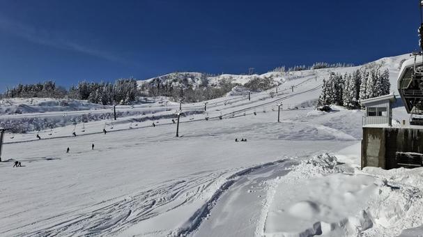 スキー場のゲレンデ スキー場,ゲレンデ,スキーの写真素材