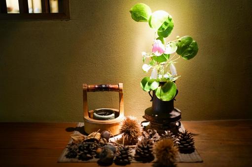静かな光の植物スティルライフ ランプ,植物,光の写真素材
