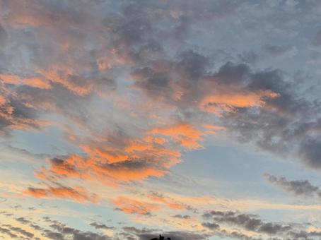 空　夕焼け　オレンジ 空,夕焼け,オレンジの写真素材