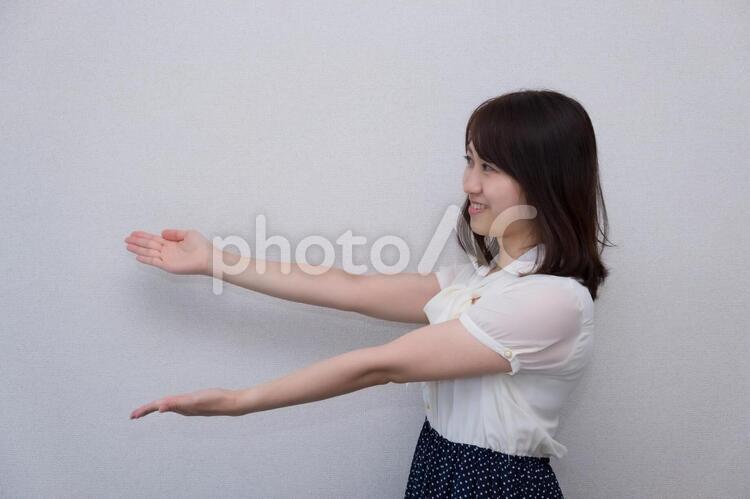 両手で案内・紹介している女性 女性,ol,手の写真素材