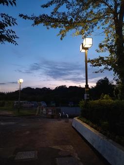 夕焼けの公園 夕焼けの公園の写真