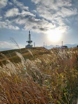 草原と鉄塔 草原と鉄塔 ススキ,草原,大草原の写真素材
