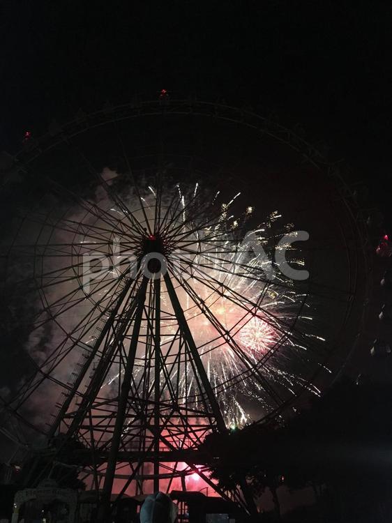 夏の思い出、観覧車越しの花火 観覧車,花火,夜空の写真素材