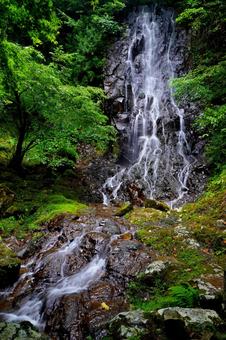霧降りの滝(京都府) 霧降りの滝(京都府) 瀧,滝,霧降りの滝の写真素材