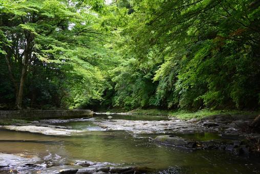 夏の養老渓谷 養老渓谷,渓谷,養老川の写真素材