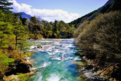木々の中の川 木々の中の川の写真