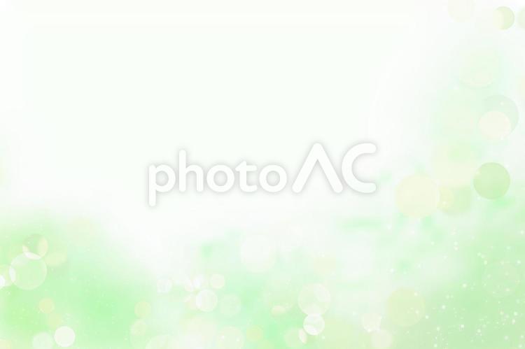 緑の爽やかな背景素材 緑,背景,タイトルバックの写真素材