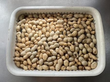 落花生 落花生,豆,殻の写真素材