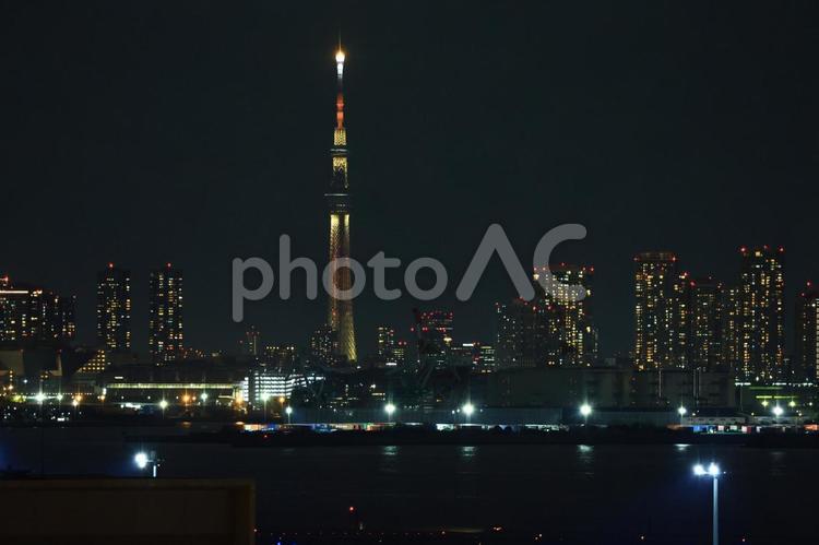 東京スカイツリー 東京,スカイツリー,夜景の写真素材