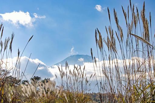 ススキの茂る山中湖からみる秋の富士山 ススキの茂る山中湖からみる秋の富士山 ススキ,富士山,山中湖の写真素材