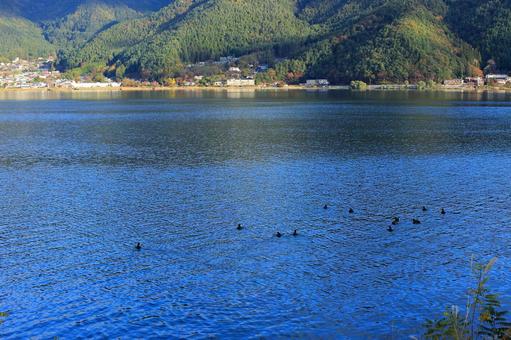 秋の河口湖周辺 河口湖周辺,河口湖,湖の写真素材