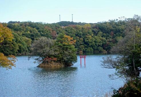 湖の色づき始めた初秋の風 湖面,初秋,色づき始めの写真素材