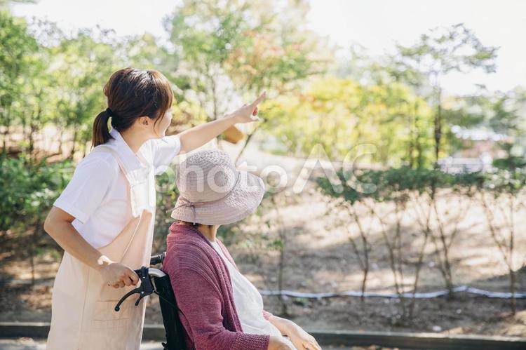 公園・庭を散歩する介護士と高齢者 介護士,介護,ヘルパーの写真素材