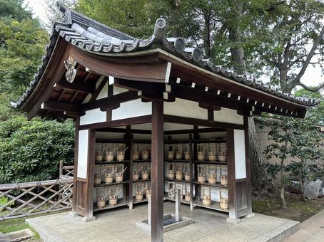 観泉寺 観泉寺 観泉寺,寺,仏教の写真素材