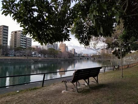 川の街広島の河辺の風景 川の街広島の河辺の風景 川,ベンチ,木漏れ日の写真素材