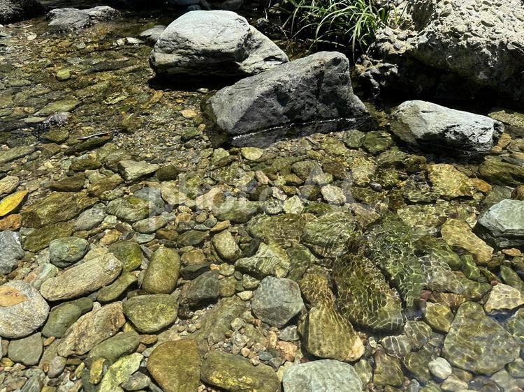 川底の丸石が見える透き通った川の流れ 川,川底,清流の写真素材