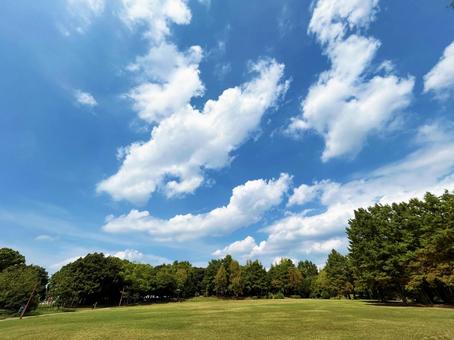 白い雲が浮かぶ空模様と公園の広場 白い雲が浮かぶ空模様と公園の広場 空模様,空,雲の写真素材