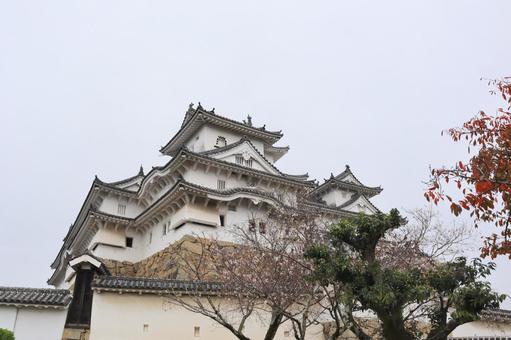 姫路城 姫路城,石垣,背景の写真素材