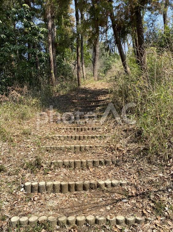 散策路にある幅広の階段 階段,散策路,ハイキングの写真素材