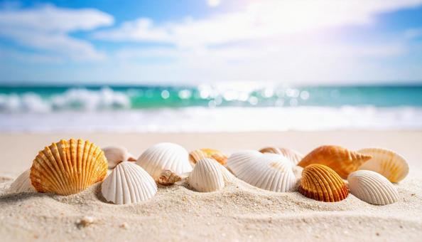ビーチと貝殻のある風景　夏の海の写真