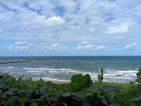 海岸の風景04 海岸の風景04 海岸,青空,海原の写真素材