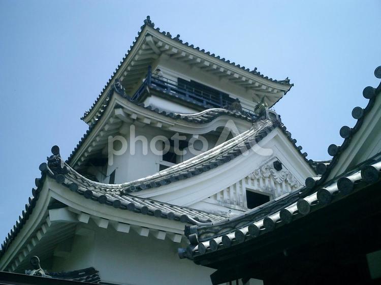 高知城天守閣と本丸御殿 高知城,高知の写真素材