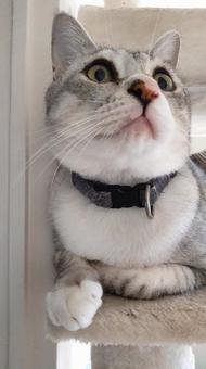 なぬ⁉ なぬ⁉の写真