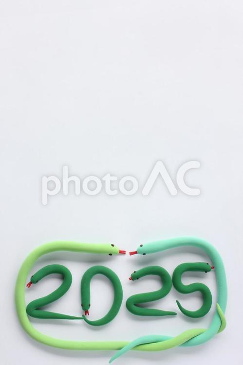 2025年　蛇の親子2　縦　下寄せ 2025年,2025,令和7年の写真素材