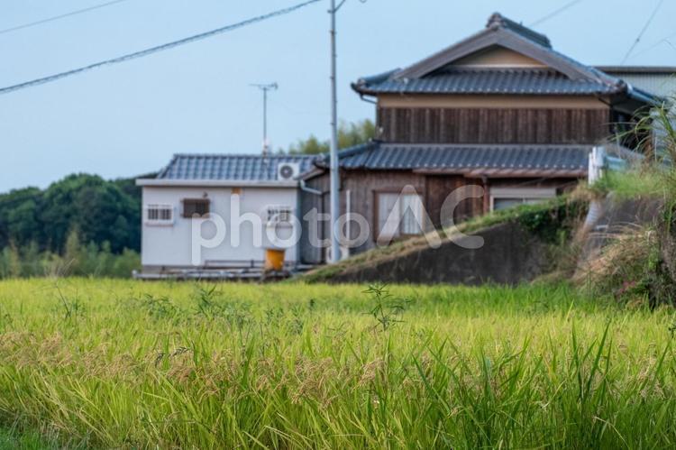 ［街角スナップ］島の風景｜淡路島 淡路島,兵庫県,淡路市の写真素材