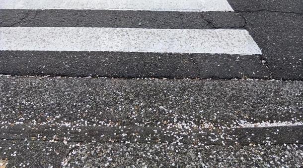 横断歩道 横断歩道の写真