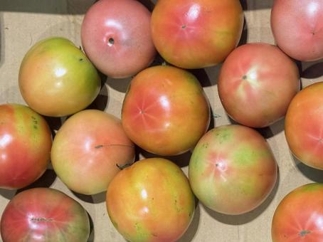 トマト スーパーマーケット,スーパー,食料品売り場の写真素材