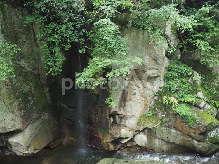 磊々峡の遊歩道　秋保温泉の観光名所 磊々峡,秋保温泉,宮城県の写真素材