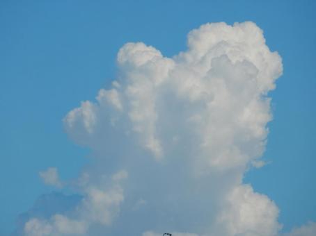 【風景写真】夏空 【風景写真】夏空の写真