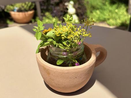 草花のつめあわせ 草花のつめあわせ 草花,花,草の写真素材