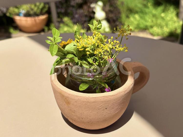 草花のつめあわせ 草花,花,草の写真素材